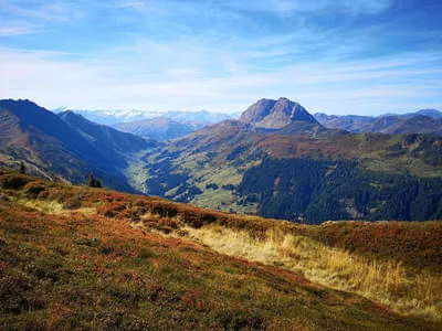 Sommerbilder Bild 2