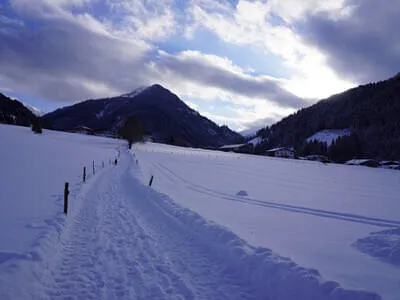 Winterbilder Bild 27